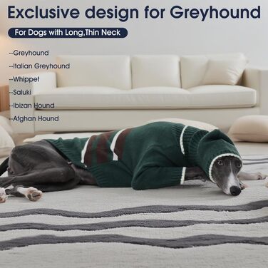 Светр з капюшоном для собаки Windhund, теплий італійський грехаунд, віппет, термо одяг для собак, зелений, XS