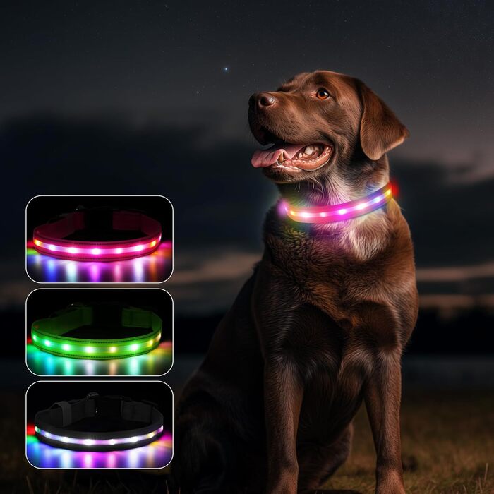 Світлодіодна нашийник для собак Feycig з USB-зарядкою, водонепроникний, регульований, 3 режими, для малих, середніх та великих собак (світлороже, S(28-40см))
