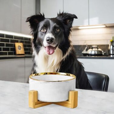 Підвищена годівниця для собак, кераміка, 850 мл | Тарілка для кота та собаки | Аксесуар для тварин