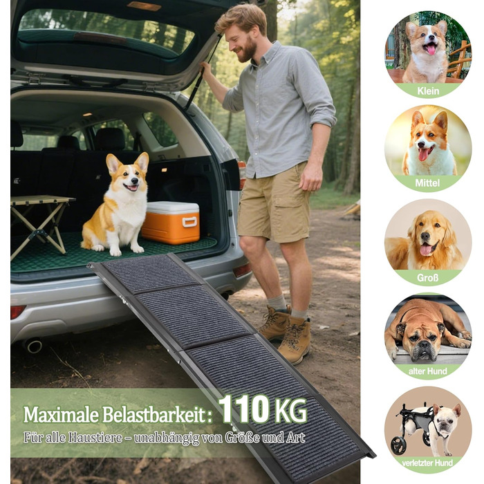 Східці для собак Hunderampe: розкладні, довгі, з антиковзким килимком, до 110 кг, для авто, SUV, позашляховиків, вантажівок, 170×44 см