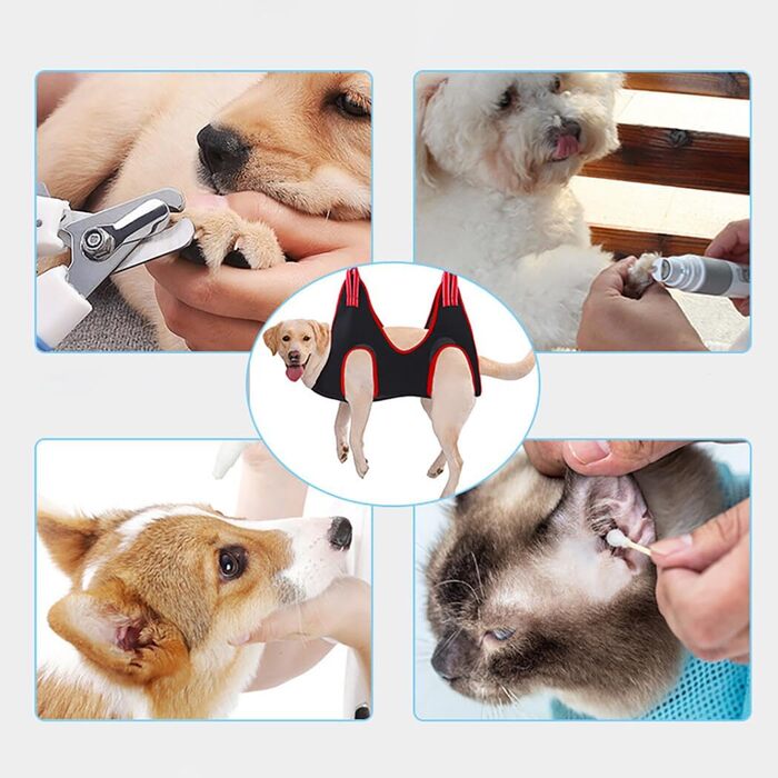 Набір аксесуарів для грумінгу собак OLACD: 8 шт., м'яка, дихаюча, для маленьких тварин