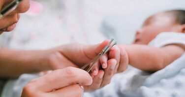 Ножиці для грумінгу тварин Spire Tools з нержавіючої сталі - безпечна кругла насадка для собак та котів, стрижка шерсті, вусів, бороди та вух - тупе лезо для дитячих нігтів та обрізання ниток