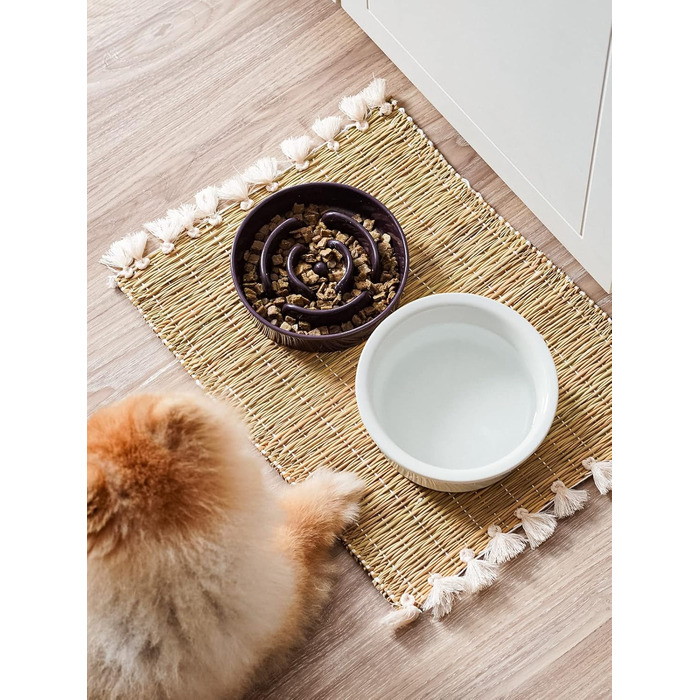 Таця для собак LE TAUCI з кераміки, антислизька таця для середніх та маленьких собак, повільне годування та розваги, таця для їжі з неслизьким дизайном (Лабіринт, фіолетовий, S-350 мл)