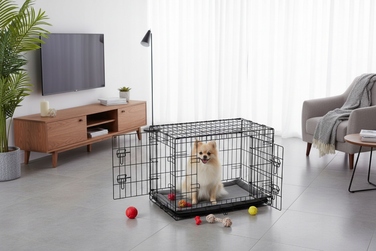 Клітка для малих собак Pethaus зі сталі з порошковим покриттям, 47,5 x 75,5 x 54 см