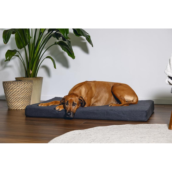 Ортопедичне ліжко для собак Beeztees Zira, сірий, 120x80x10 см