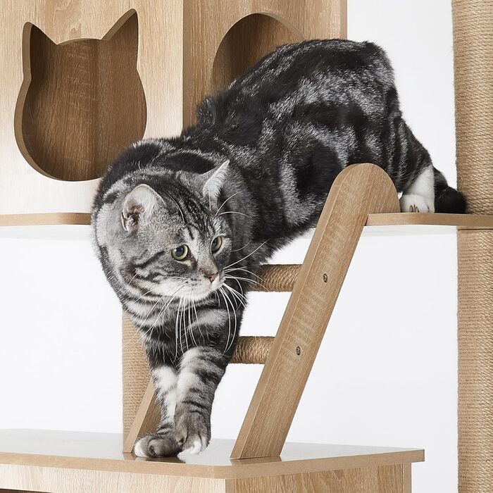 Дерев'яна кігтеточка Mondeer для кімнат з двома будиночками для котів, контейнером для наповнювача, прозорою капсулою, знімними плюшевими подушками, розмір 60x50x184 см, дуб