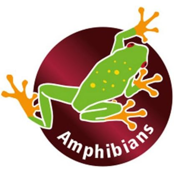 Декоративна тарілка-підставка Hobby Stump, 27,6 x 19,4 x 7,4 см, 1 шт.