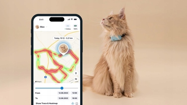 GPS-локатор для котів Tractive CAT Mini — світло-зелений