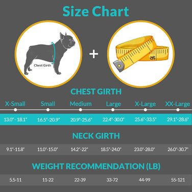 Рятувальний жилет для собак Queenore Schwiweste GreenCao Shark, регульований, з високою плавучістю та міцною ручкою для собак малих та середніх порід