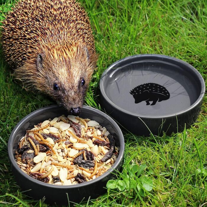 Набір мисок для їжака WILDLIFE FRIEND: годівниця та поїлка 12 см, стійка, для їжачого будиночка, погодостійка