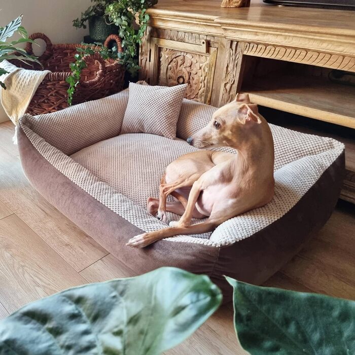 М'яке ліжко для собак Teo 120x100 см, знімний чохол, коричнево-бежеве. Ліжко-корзина для собак середніх порід, зручне та тепле.