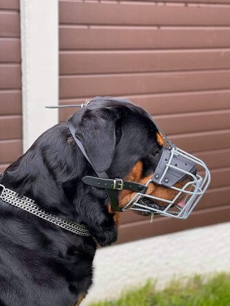 Міцний нашийник-маска для собак з дротяної сітки, Rottweiler, Mastiff, Golden Retriever та інші (шкіряний, чорний, R4)