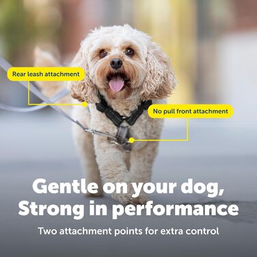 Шлейка PetSafe 3-в-1 з двоточковою контрольною лінією, індивідуальна посадка, зносостійка, обладнання для дресирування, зменшує тягу, дихаюча, чорна, середній розмір (упаковка 1)