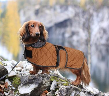 MOREZI Теплий зимовий одяг для собак - водонепроникний пуловер для такс з вовняною підкладкою та регульованими ременями, теплий зимовий одяг для маленьких собак на вулицю, зелений, S (довжина спини: 36-38 см), зелений (M (довжина спини: 42-45 см), коричне