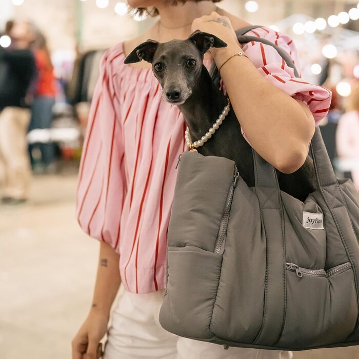 Сумка-переноска для собак та котів Joyflow | до 6 кг | м'яка переноска з безпечним кліпом | для подорожей літаком та авто | дизайн Європа | темно-сірий