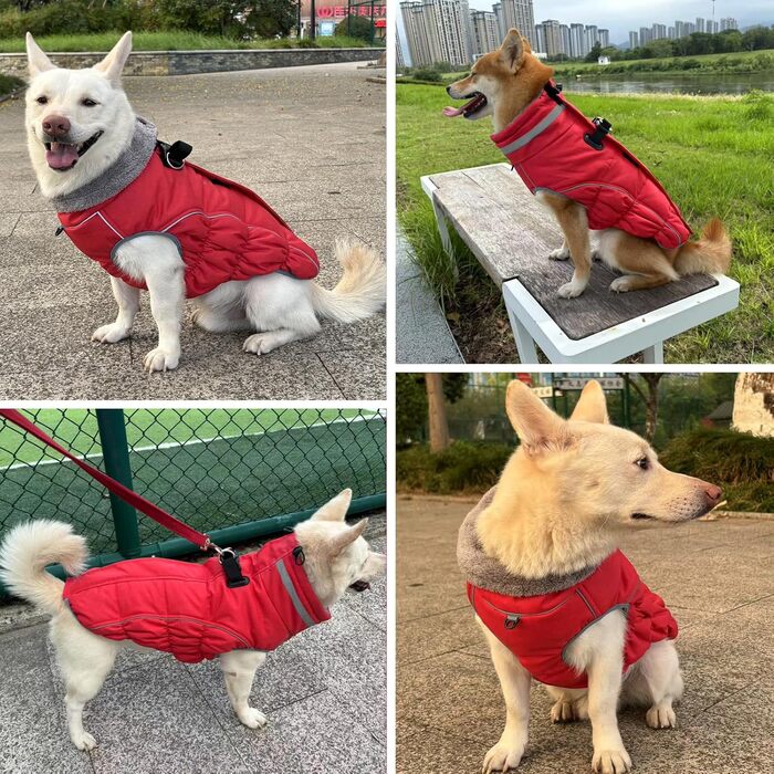 Водонепроникний та вітронепроникний теплий накидка для собак, розмір M, червоний. Підходить для цуценят та маленьких/великих собак, з інтегрованим повідком. (Getaway Solids)