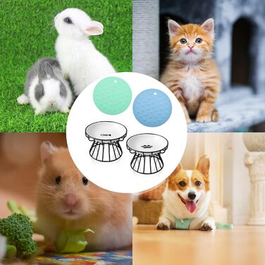 Набір мисок для котів 2 шт. з піднятою платформою, металевий каркас, анти-блювотні миски для котів та кошенят