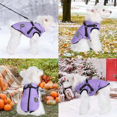 Теплий зимовий одяг для собак: куртка, жилетка, плащ для маленьких, середніх та великих собак. Зелений (3XL, світло-фіолетовий)