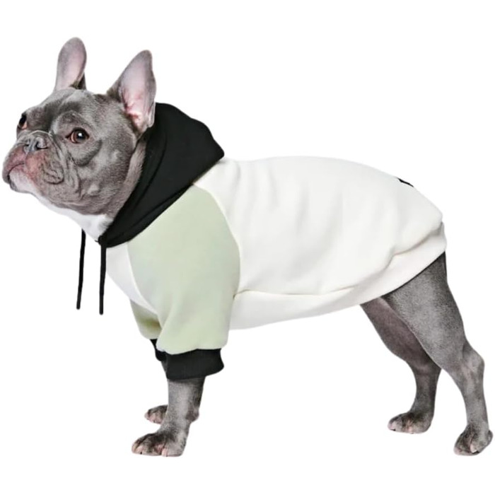 Світшот для собак Spark Paws з капюшоном – преміум якість, м'який, комфортний, з флісовою підкладкою, для всіх порід – Оливковий крем – L 03 – Оливковий крем L: 7-11кг