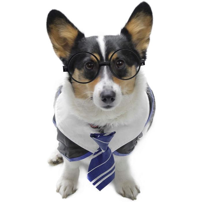 Сорочка для собак на Хелловін Impoosy, кумедний костюм кота-чаклуна, мила одяг з окулярами (розмір M, обхват шиї: 35,6 см), блакитний