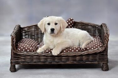 Корзина для собак та котів з плетіння лози з м'яким лежаком, коричнева (74x52x39 см)