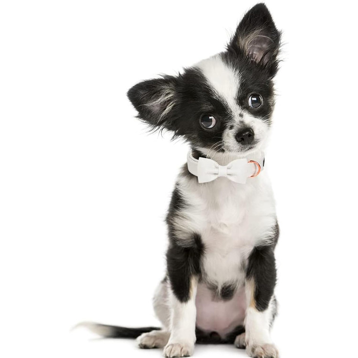 Яскравий різдвяний нашийник для собак Aring Pet, бавовняний нашийник з бантом, милий дизайн, подарунок з металевою застібкою для великих собак (S, білий)