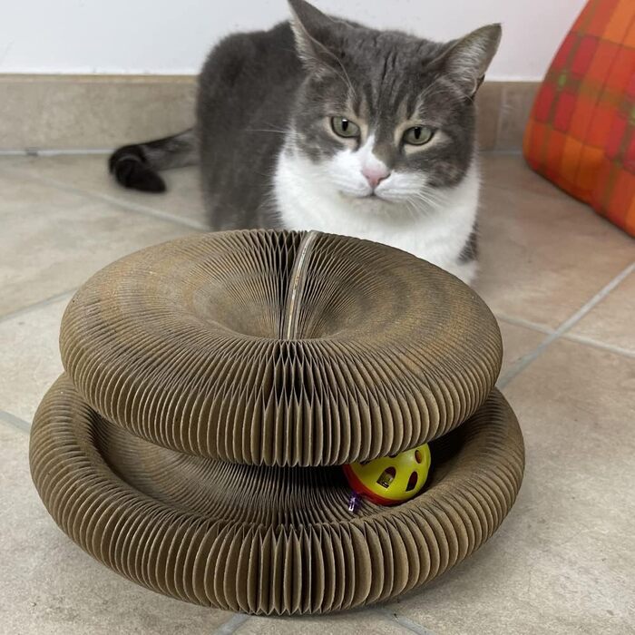 Котячий будиночок-стійка Kratzbaum: іграшка для котів, картон, коричневий, універсальний розмір