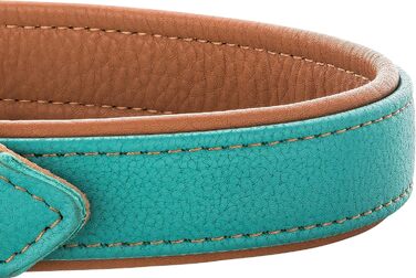 Шкіряне нашийник для собак Fun Line - великий, середній та маленький розмір - м'який та міцний (M, 28-36 см, Турквіз-Коричневий)