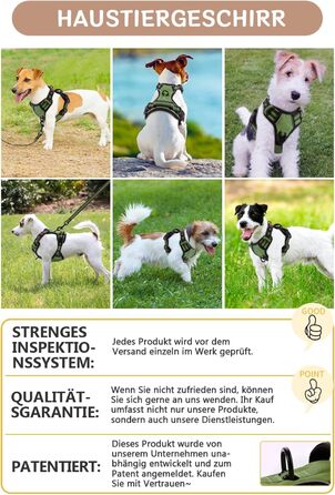 Нашийник для собак BaoCheng Anti Pull: безпечний, дихаючий, з 3 пряжками, для малих, середніх та великих собак, світловідбиваючий (темно-зелений, небесно-блакитний)