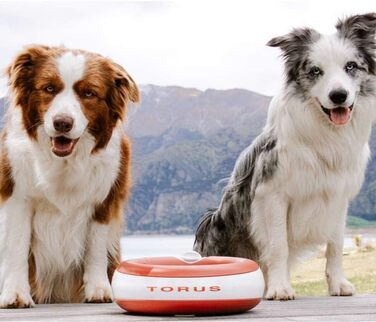 Автоматична поїлка Torus Pet Maxi 2 л, червона, для собак і котів, з фільтрацією, антибактеріальна, без BPA, для дому та подорожей