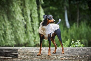 Вольтерс Степова куртка Cosy, розмір 46 см, колір: тауп