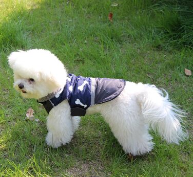 Теплий водонепроникний зимовий накидка для собак, блакитний, розмір S - JoyDaog