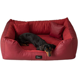 колір: гниль