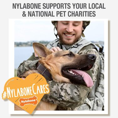 Nylabone Power Chew плетена жувальна іграшка для собак, альтернатива бичачому жилу з нейлону, для агресивних гризунів, зі смаком яловичини, велика/дуже велика порода