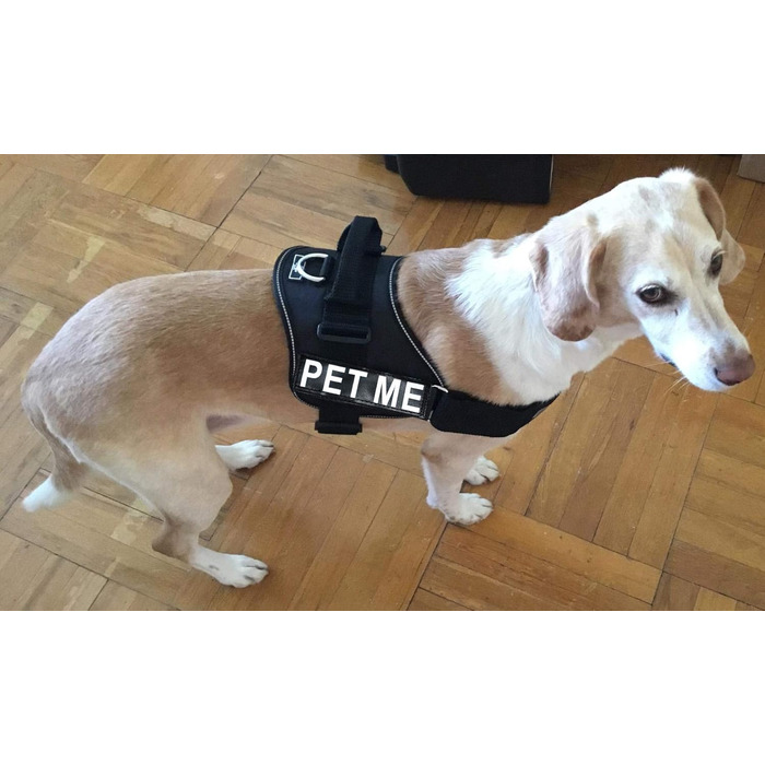 Шлея для собак Pet Me з нейлону, чорна, розмір 12-16 дюймів, із 2 відбивними нашивками, регульована