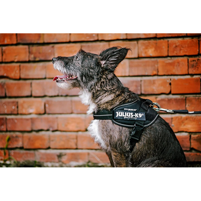 Шлея Julius-K9 IDC Powair для собак, розмір S/Mini, синя