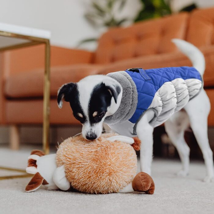 Зимовий теплий одяг для собак: водонепроникна куртка з підкладкою з вовни, для маленьких та середніх собак, блакитна, розмір XS