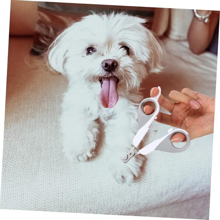 Ножиці для обрізання кігтів домашніх тварин BESPORTBLE - 2 шт. для собак та котів. Якісні, з нержавіючої сталі, для точної гігієни кігтів.