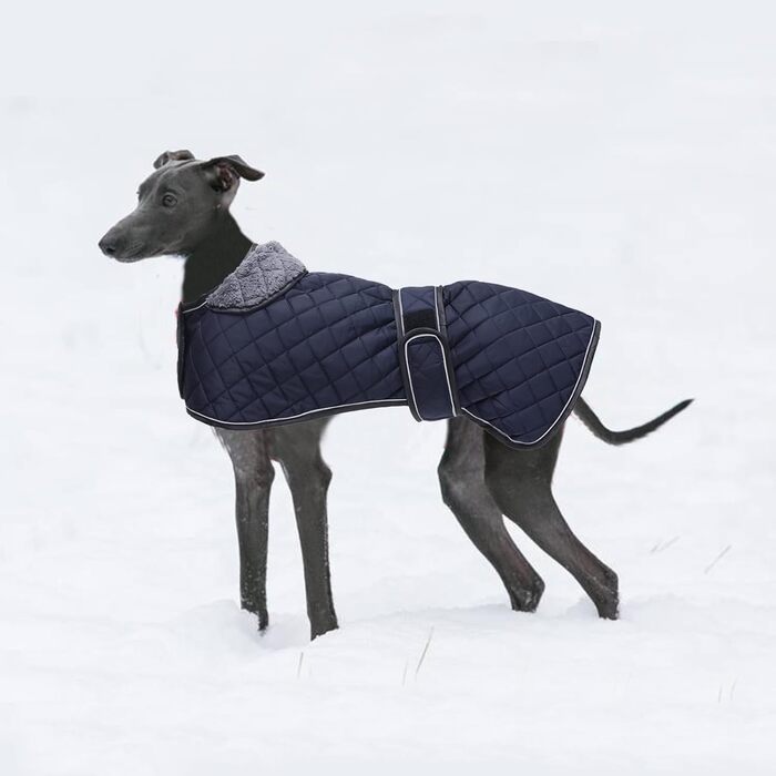 Водонепроникний зимовий одяг для породистих собак (Вінтерхаунд, Віпет, Лурчер), тепла куртка з флісовою підкладкою, для великих та середніх порід, темно-синій, розмір S (обхват спини 51-53 см)