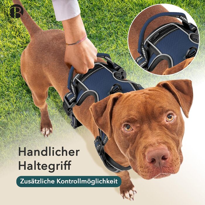 Шлейка для собак середніх порід Bluzelle з ручкою та кишенею для GPS-трекера, світловідбиваюча, зелена (XS, синій)