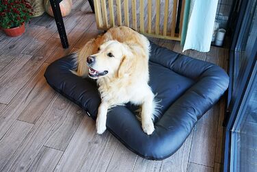 Крісло-ліжко для собак середніх порід Ella від 4L Textil: водостійке, з штучної шкіри, 90x70 см, графіт