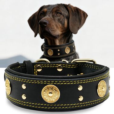 Нашийник для собак шкіряний Leder, 5 см, міцний, ручної роботи, L (38-49 см, золото-чорний)