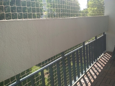 Захисна сітка на балкон та вікна від голубів, птахів та для котів, 3х6 м