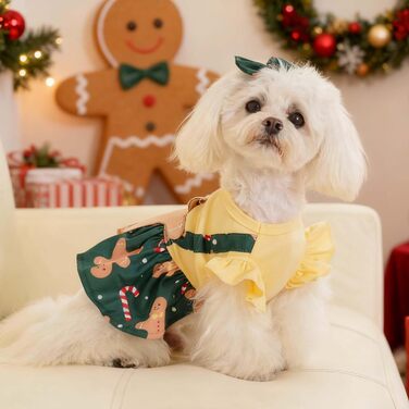 Костюм для собак 