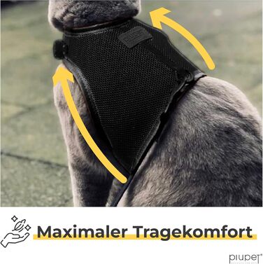 Шлейка для котів PiuPet® (S) з повідком 1,2м | Захист від втечі | Чорний колір | Розмір S (21-24см обхват шиї, 36-40см обхват грудей)