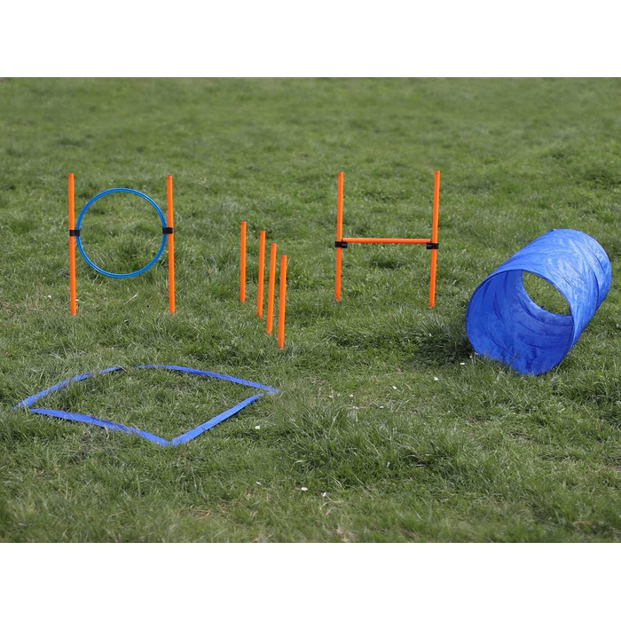 Набір для аджиліті Lemodo для малих та середніх собак | Набір для дресирування з бар'єрами, тунелем та кільцем | Початковий набір для собачого спорту
