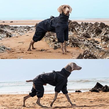 Дощовик для собак, регульований, з 4 лапами, водонепроникний, вітронепроникний, світловідбиваючий, для малих та середніх собак, розмір M, (3XL: Довжина спини: 41см, Чорний)