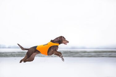 Одяг для собак Julius-K9 IDC Neopren Baby 2 чорного та UV-оранжевого кольору