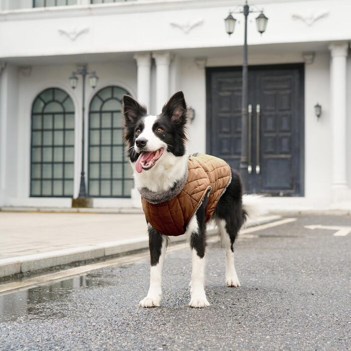 Теплий флісовий одяг для собак JoyDaog, D-кільця, водонепроникна куртка для цуценят на зиму, червоний, розмір S