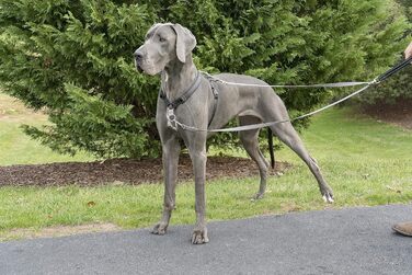 Шлейка для собак PetSafe 3в1, середнього розміру, регульована, не тягне, відбиваючий матеріал, 1 шт.